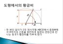 황금비(황금비율) 9페이지