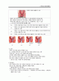 직장과 항문질환A++ 2페이지