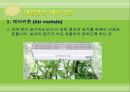 지하철 실내 대기오염 26페이지