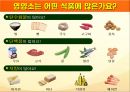 건강한 식생활, 올바른 영양으로부터(초등학생 대상 영양교육 자료, 필요한 영양소, 간식, 비만 등) 3페이지