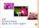 편식과 영양신호등, 유치원 및 초등학교 저학년 영양교육 자료, 올바른 식생활을 위한 영양교육 4페이지