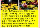 편식과 영양신호등, 유치원 및 초등학교 저학년 영양교육 자료, 올바른 식생활을 위한 영양교육 5페이지