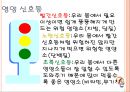 편식과 영양신호등, 유치원 및 초등학교 저학년 영양교육 자료, 올바른 식생활을 위한 영양교육 17페이지