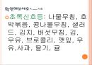 편식과 영양신호등, 유치원 및 초등학교 저학년 영양교육 자료, 올바른 식생활을 위한 영양교육 23페이지