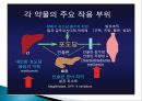 인슐린 치료지침 10페이지