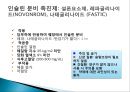 인슐린 치료지침 11페이지
