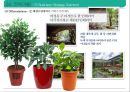 샐러드 뷔페 식당 사업 계획서[ salad buffet restaurant business plan] 1인고객을 위한 좌석&서비스 강화 35페이지