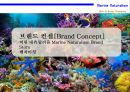 해양 자연주의 신규 화장품 XX브랜드 런칭 계획서 [Marine Naturalism New Cosmetics XX Brand Launching Plan] 3페이지