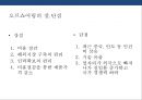 오프쇼어링 vs 리쇼어링의 이해 [미국 대통령 트럼프의 리쇼어링 정책 - 미국 제조업의 미국귀환.made in usa 부활] 27페이지
