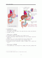 문맥고혈압 병태생리 Portal Hypertension 3페이지