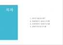 영화.음반 마케팅전략 와이드 릴리즈[WIDE-RELEASE] 영화.음반 마케팅사례 2페이지