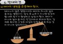 낙태. 산모의 권리-태아의 생명 26페이지