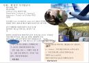 글로벌 혁신마케팅 성공사례 [재미있는.기발한.차별화된] 12페이지