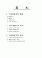 [REPORT] 인터넷마케팅 2페이지