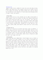 [REPORT] 인터넷마케팅 18페이지