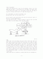 피아제의 인지발달이론 4페이지