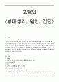 고혈압, hypertensive, hypertension, 고혈압원인, 고혈압병태생리, 고혈압진단 1페이지