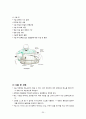 [성인간호학 A＋] 양측 서혜부 탈장(Bilateral inguinal hernia) 간호과정 case study 23페이지