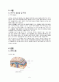 intracerebral hemorrhage 뇌내출혈 케이스 스터디 2페이지