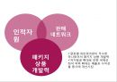 하나투어 기업현황과 하나투어 마케팅 4P,STP,SWOT분석및 하나투어 경쟁우위와 향후전망및 하나투어 시사점연구 PPT 12페이지