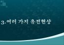 여러가지 유전현상,유전자와 염색체,독립의 법칙, 연관, 교차 여러 가지 유전현상,돌연변이 15페이지
