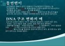 여러가지 유전현상,유전자와 염색체,독립의 법칙, 연관, 교차 여러 가지 유전현상,돌연변이 22페이지