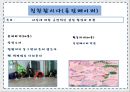 학교사회복지론 - 대인관계 증진 프로그램 ( 프로그램 설정의 이유와 목적, 캠프 선택과 대상선정의 이유, 일정표, 세부 프로그램 설명, 평가 ) 24페이지