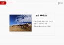 목적지 마케팅 - 음악의 도시, 리장, 빈, 잘츠부르크, 리버풀 ( 지역소개, 역사, 랜드마크, 소수민족, 안트홀6p ) 9페이지