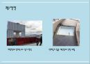 부산관광 서비스 모니터링 - 해운대 해수욕장 ( 개요, 점검필요성, 점검내용, 관광안내, 교통 및 안전관리, 화장실, 관광식당, 총평 ) 8페이지