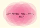 특수아상담 - 지적장애상담 ( 지적장애의 정의, 분류, 진단, 지적장애의 원인과 특성, 지적장애인을 위한 교육과 상담 ) 3페이지