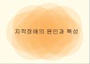 특수아상담 - 지적장애상담 ( 지적장애의 정의, 분류, 진단, 지적장애의 원인과 특성, 지적장애인을 위한 교육과 상담 ) 11페이지