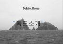 독도 - Dokdo ( 독도소개, 독도의 가치, 독도의 역사, 독도영유권 분쟁, 영유권  발생배경, 일본의 독도 왜곡, 일본의 주장, 반박, 독도영유권에 대한 각국인식, 독도를 위한  노력, 현재 우리의 노력, 독도 사랑법  3페이지