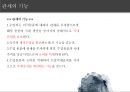무역실무 - 관세 ( 관세란, 관세의 효과, 관세의 기능, 관세의 종류, 세율조정관세, 관세의 확정과 부과, 관세환급제도, 비관세장벽 ) 6페이지