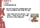 이케아 - IKEA의 마케팅 ( 이케아 소개, 해외진출, 마케팅 전략, 4P, SNS 마케팅, STP분석, 문제점 분석 ) 10페이지