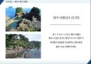 스포츠 관광 - 스노클링, Snorkeling ( 스노클링 소개, 스노클링 명소, SWOT분석, 문제점, 해결방안 ) 12페이지