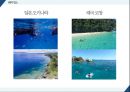 스포츠 관광 - 스노클링, Snorkeling ( 스노클링 소개, 스노클링 명소, SWOT분석, 문제점, 해결방안 ) 13페이지