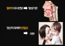 창조과학의 과학적 근거 - 실러캔스, 개구리, 얼굴, 나침판, 홍수, 원시대기, 고대인류 현생인류, 빅뱅이론, 공룡, 설계도 11페이지