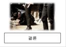 CCM - 영원함을 향한 소망 CCM ( 대중가요, CCM, CCM가수들, CCM에 대한 대중들의 인식, 목적과 방향,그리고 미래, 종합적 의견 ) 14페이지