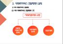 사회복지서비스 - 사회복지서비스 전달체계 ( 개념, 원칙, 실태 ) 24페이지