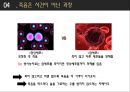 철학의 힘 - 죽음은 두려움의 대상인가 ( 죽음이 두려운 까닭, 두려움을 삶의 에너지로 바꾸다, 생의 한가운데에서 죽음을 생각하라, 죽음은 사건이 아닌 과정, 죽음을 받아들이는 것이 가능한가, 죽음에 대한 개인 20페이지