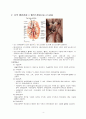 성인간호 ICU case study- SAH(A+ 칭찬받은자료) 5페이지