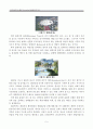 [지역관광론] 충남 태안 Volun-tourism 활성화를 위한 방안 - 발룬투어리즘  5페이지