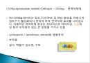 간이식의 이해 32페이지