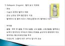 간이식의 이해 39페이지
