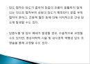 간이식의 이해 49페이지