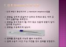 임상검사와 진단검사 결과에따른 해석 17페이지