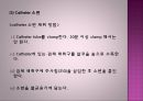 임상검사와 진단검사 결과에따른 해석 23페이지