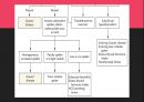 Graves disease (그레이브스 병, 갑상선 항진증) 17페이지