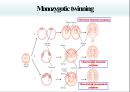 다태 임신 (Multifetal gestation) 의대 간호대 발표 PPT 4페이지