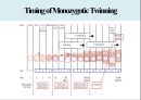 다태 임신 (Multifetal gestation) 의대 간호대 발표 PPT 5페이지